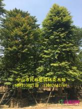 单杆子母树